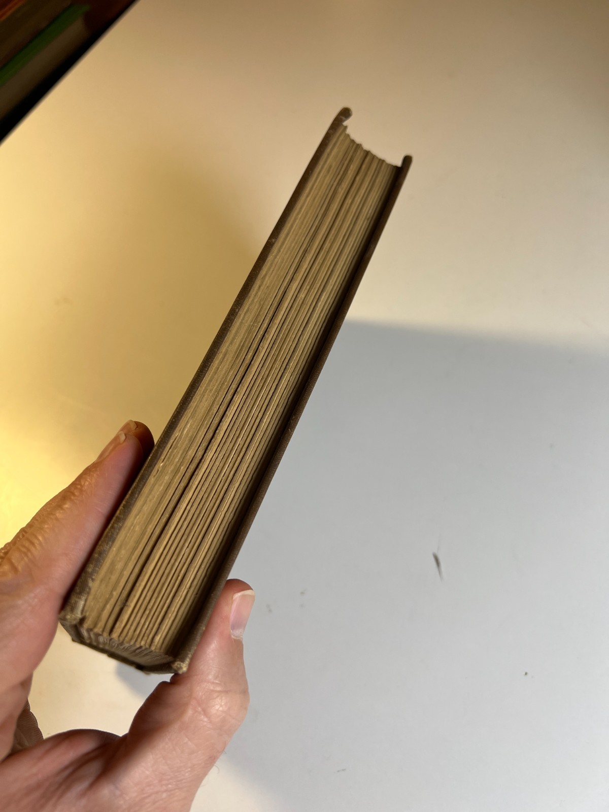 Antique Jules Verne Around World Eighty Days P Coates 1870s Gilt Ornate Book