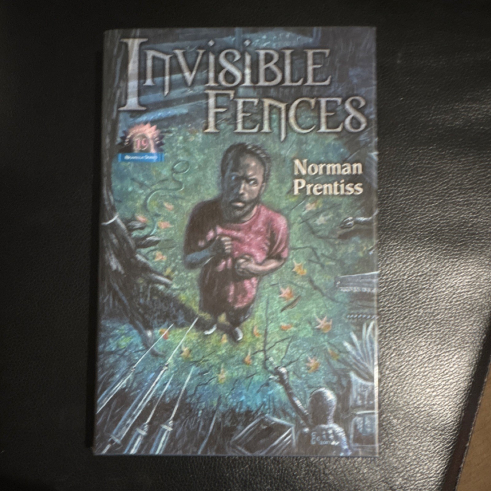 Norman Prentiss Invisible Fences Signed Numbered Limited Edition Hardcover Illus
