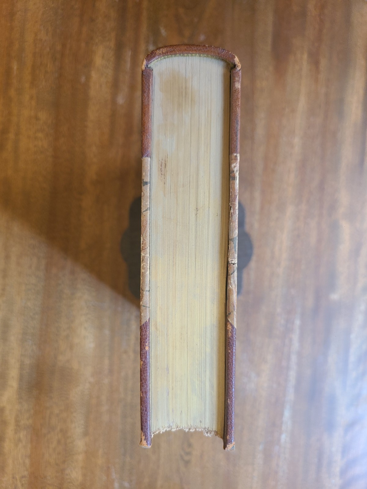 1905 MASTERS IN ART ILLUSTRATED MONOGRAPHS Leather
