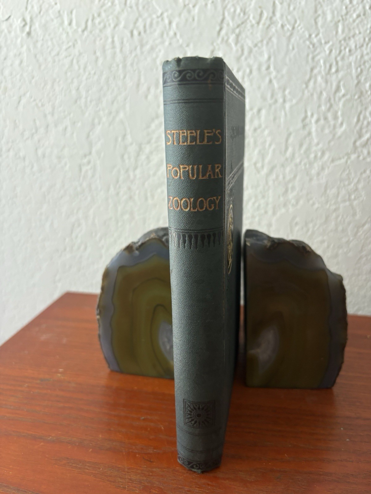 Steele’s Popular Zoology 1887 HC First Edition Chautauqua ED VG Vintage Cond