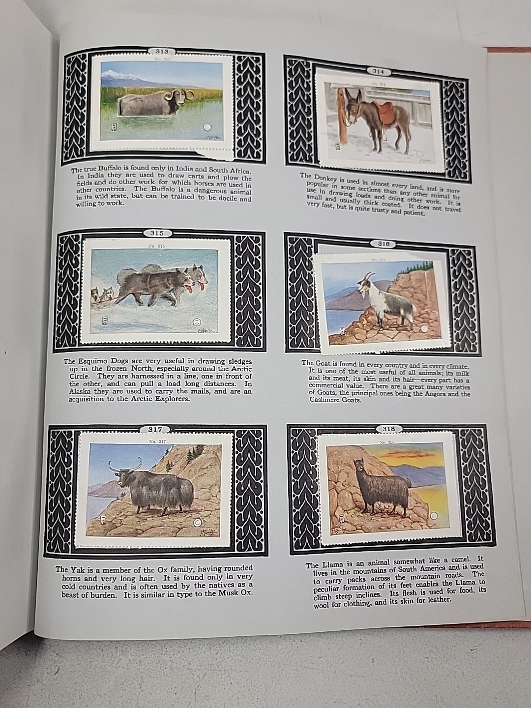 1915 The Picture Book Of Wisdom Illustrated W/ 336 Picture Stamps S. Markstein