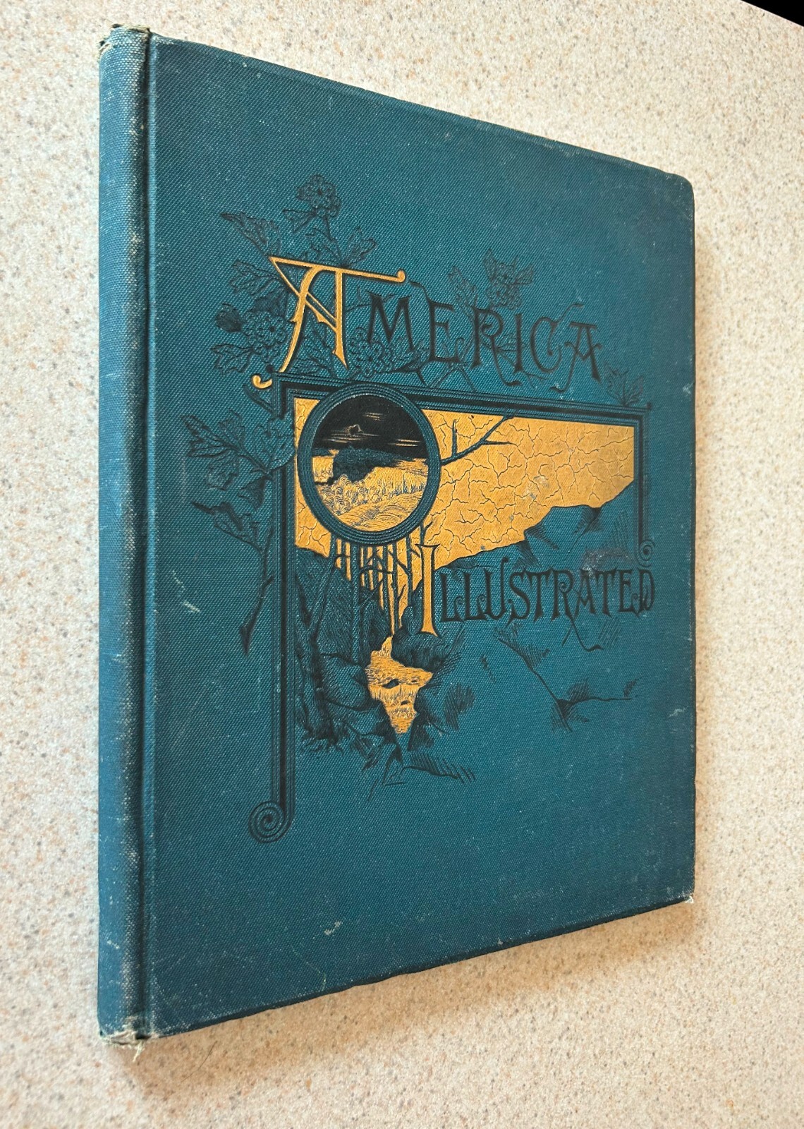 J David WILLIAMS — America Illustrated — 1883 Oversized Hardcover
