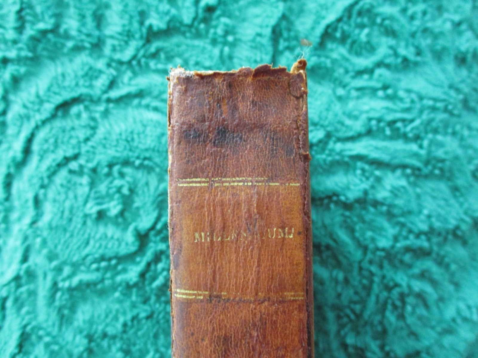 View of Expected Christian Millennium – Josiah Priest – 1831 Leather 10