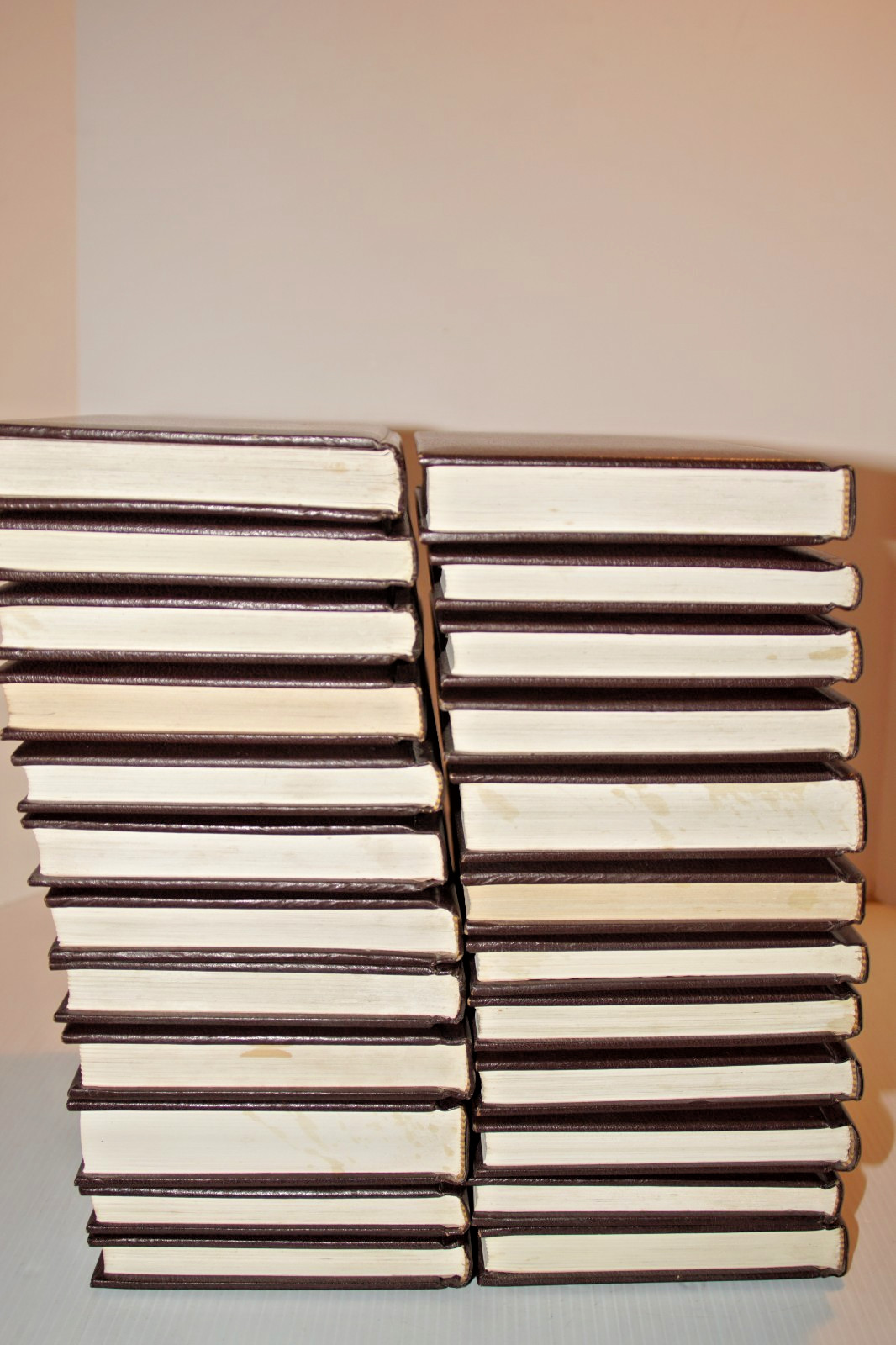 Louis L’Amour Lot of 24 Leatherette Hardcover Bantam Westerns
