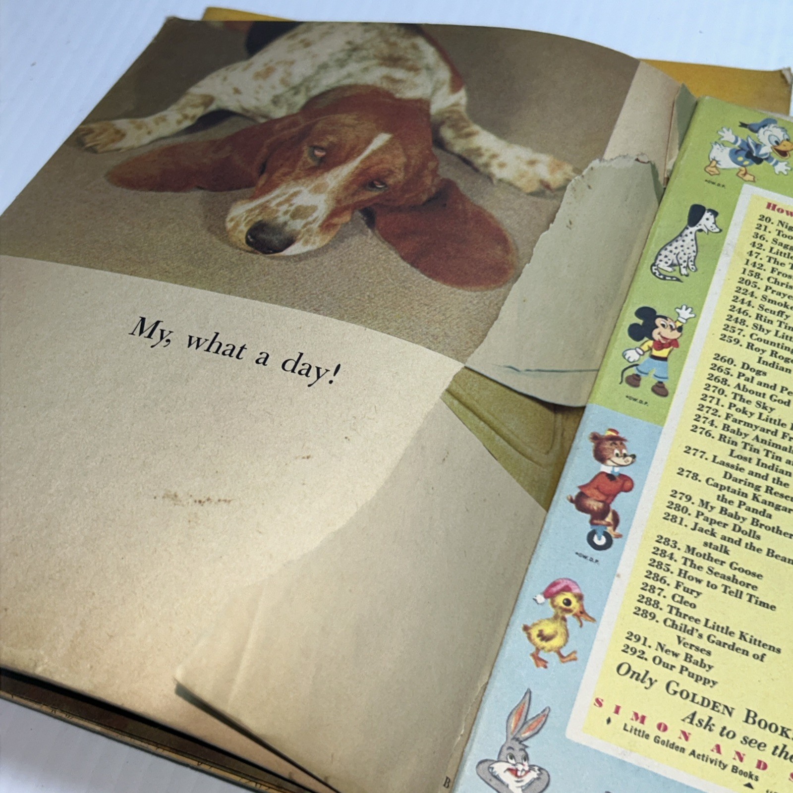 Lot Vtg Kids Books Paddy’s Surprise Visitor Wiggletail Cleo Insect Stamps Golden