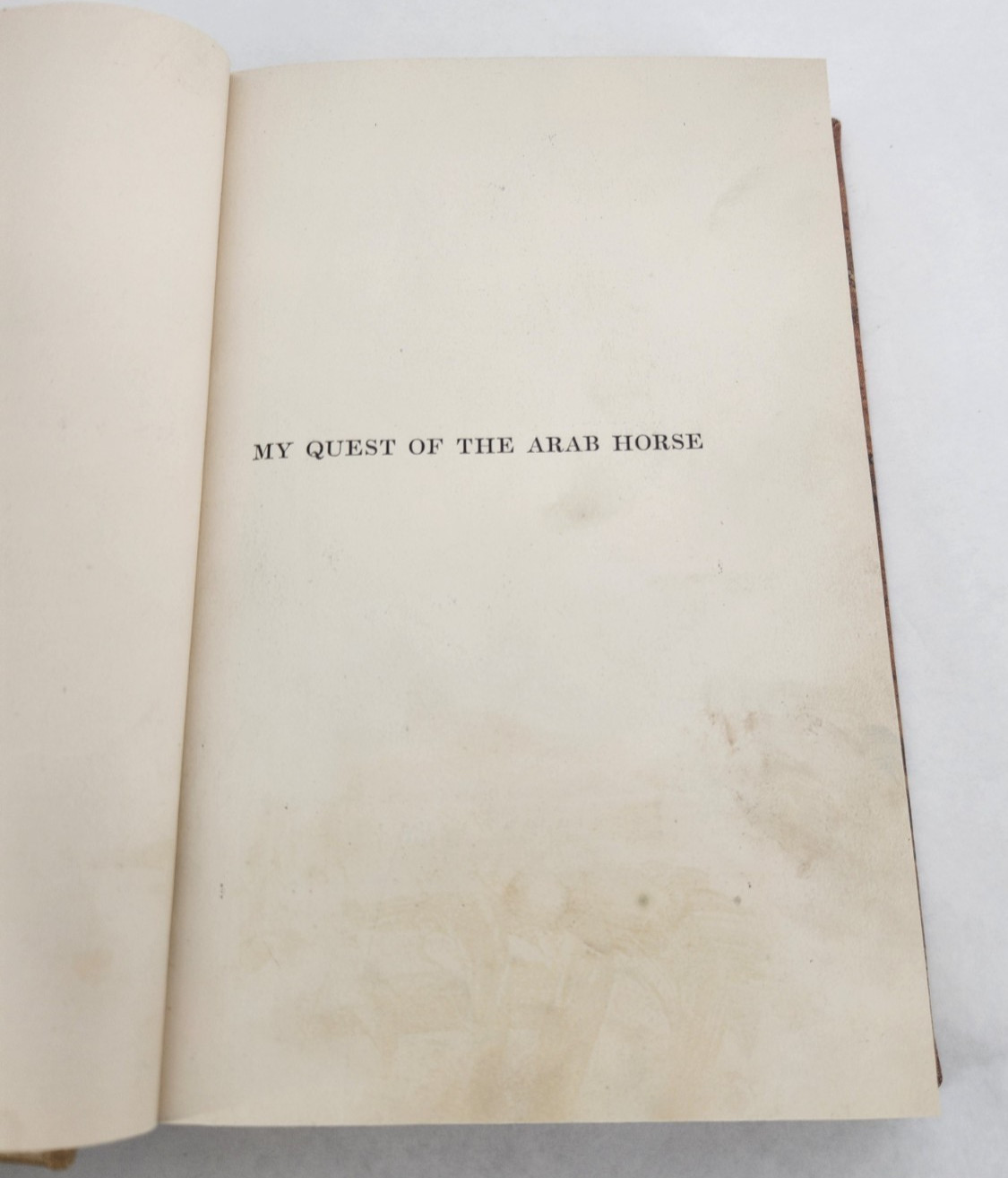 My Quest of the Arabian Horse / Homer Davenport / 1909 Hardcover Ex-library