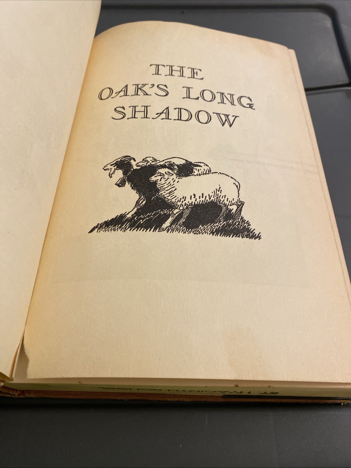 The Oak’s Long Shadow Olive Burt Chapman Basque Sheepherders Idaho 1952 First Ed