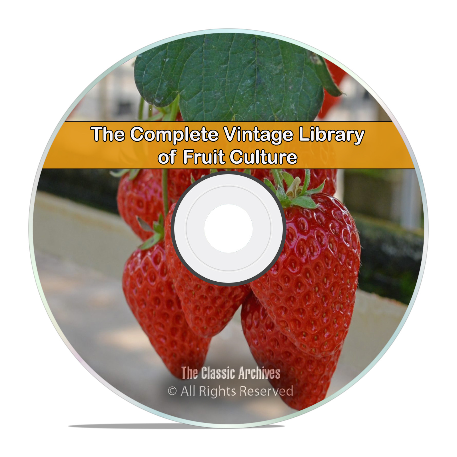 Library of Fruit Culture, 157 Books, Grow, How to, Recipes Garden DVD