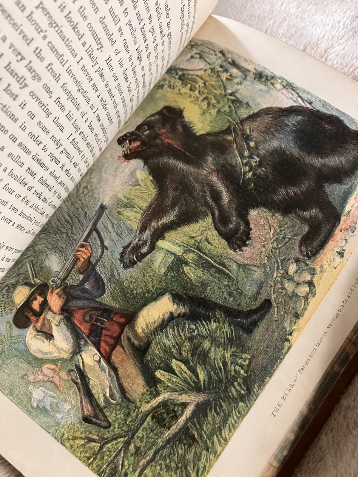 1862 WILD SPORTS OF THE WORLD BY JAMES GREENWOOD natural history and adventure