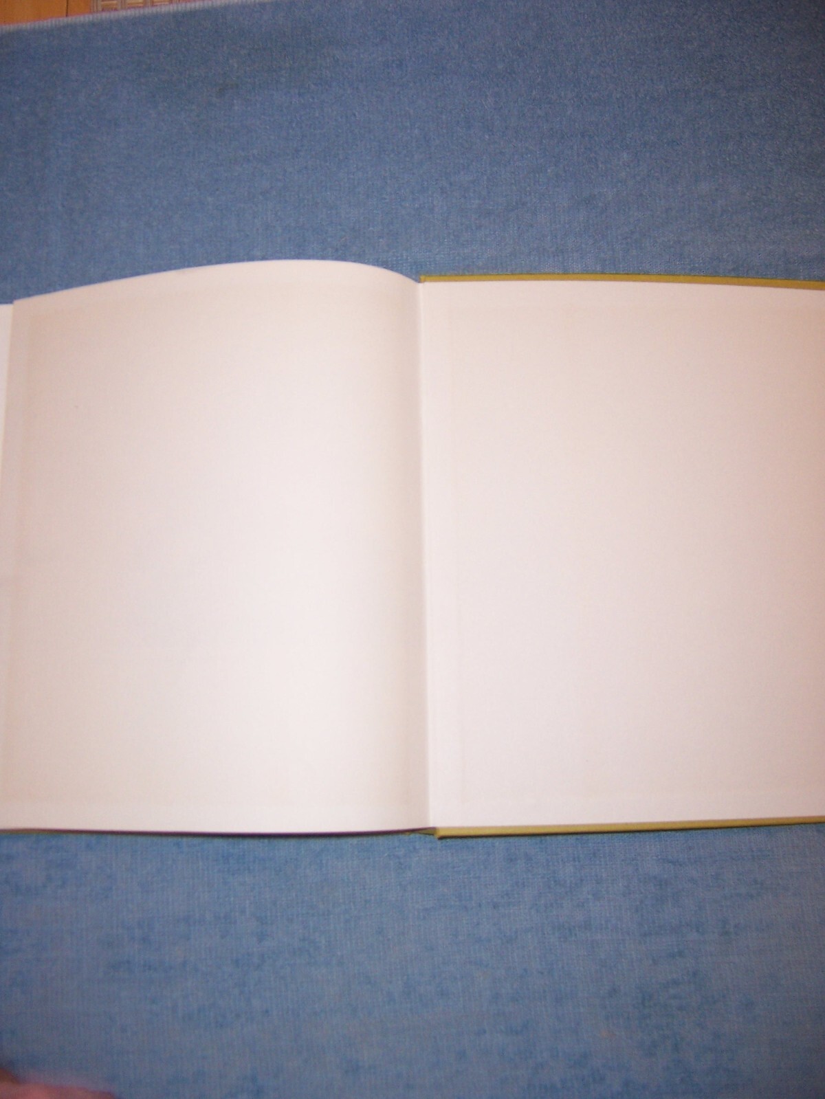 FIGHTER! by Werner Held/1st Ed/HC/Foreign Military/WW II/1939-45