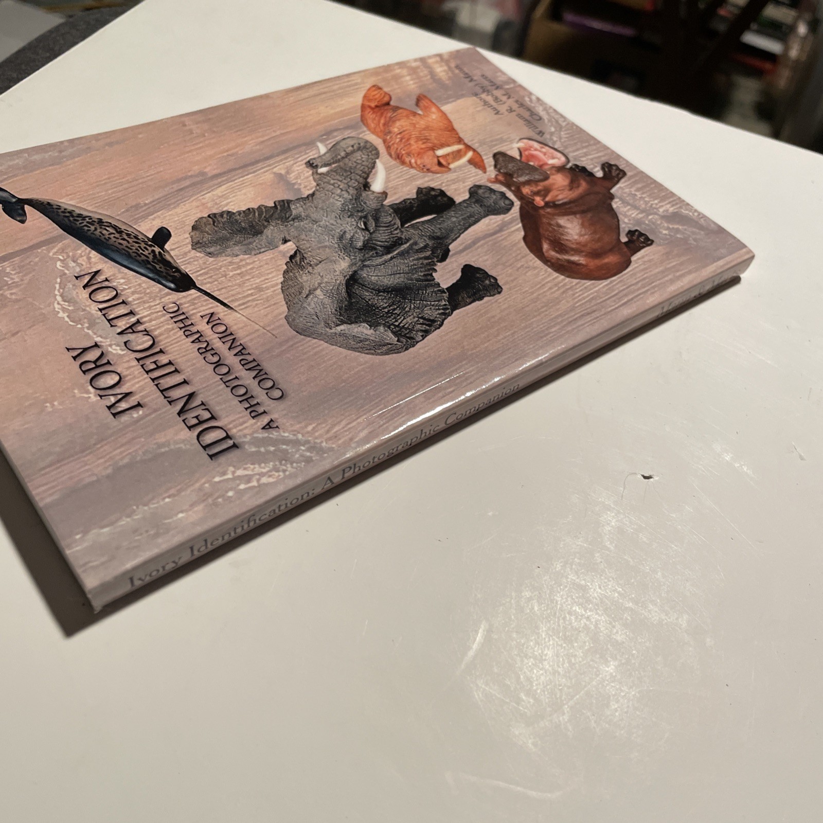 Ivory Identification: A Photographic Companion – Mann & Marrs