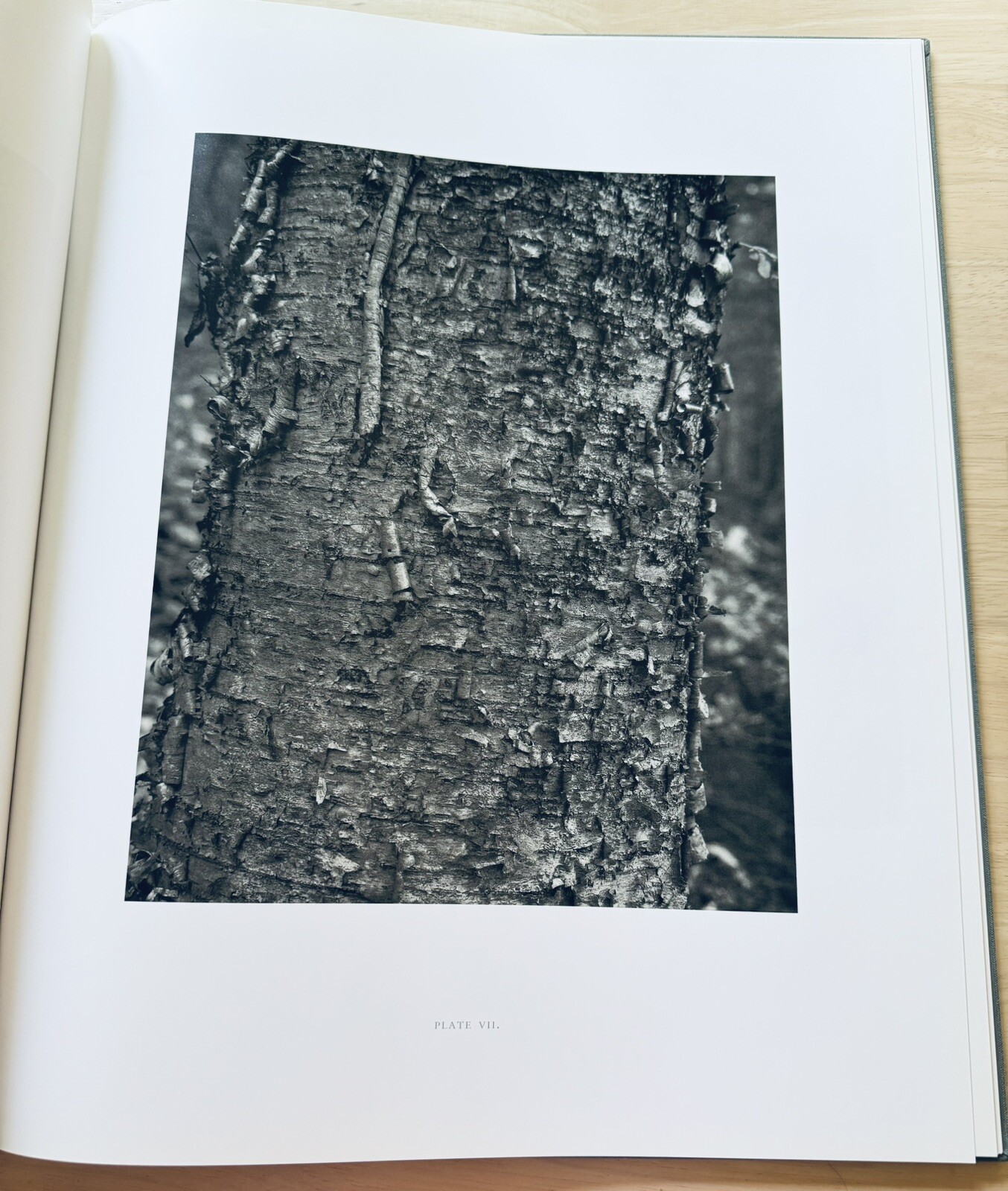 Stephen Shore: Essex County, 1st Edition, Signed, As New, Nazraeli Press, 2006