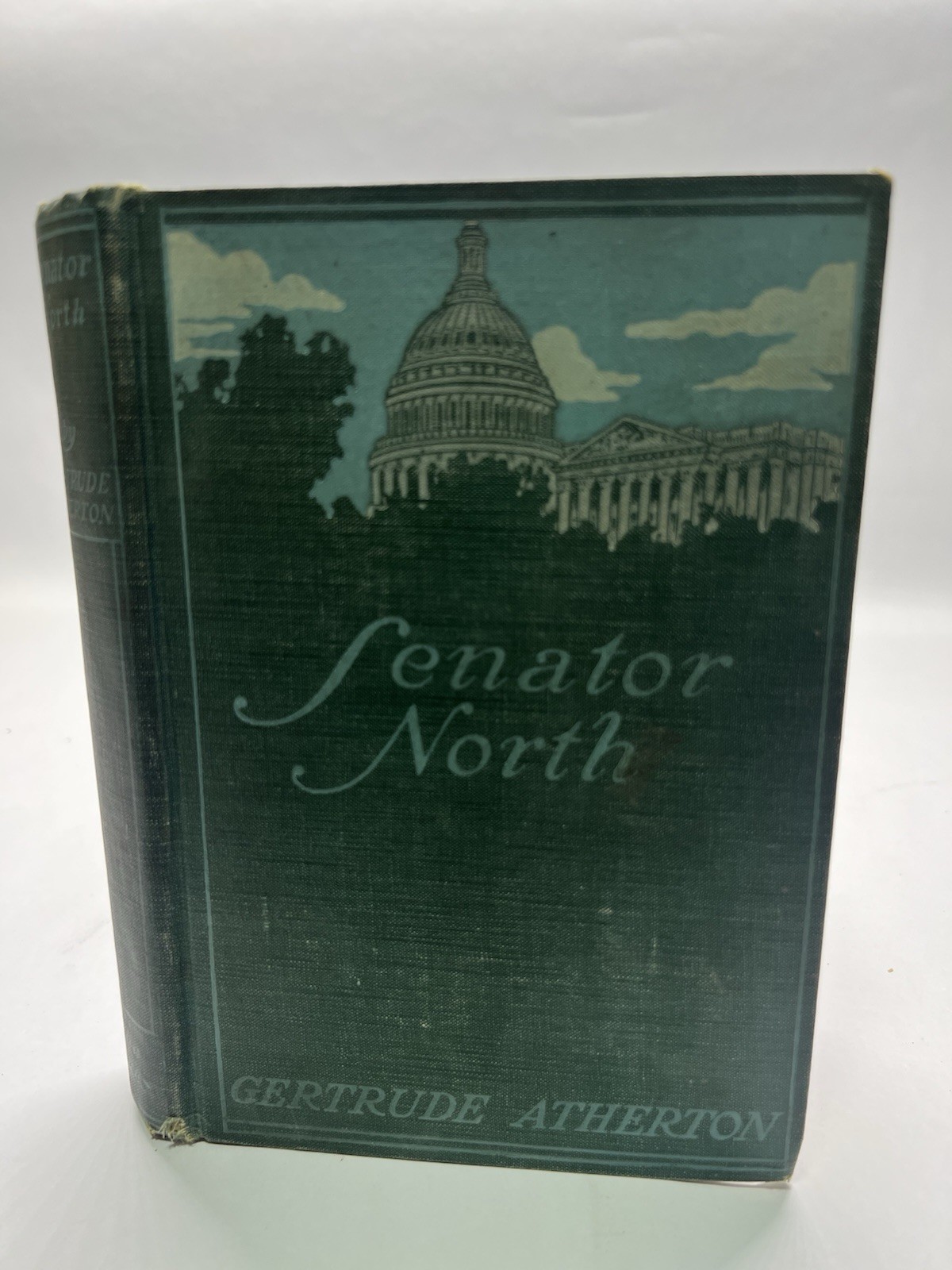 Senator North 1900 by Gertrude Atherton