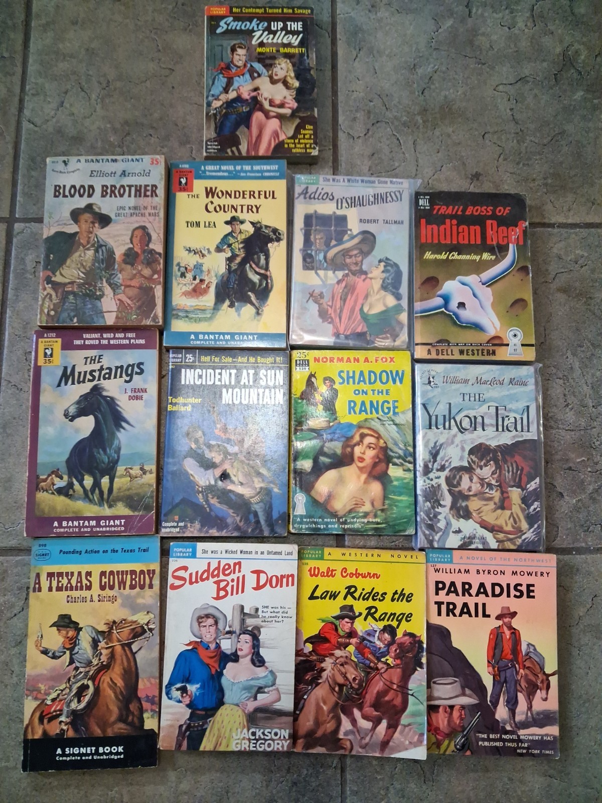 13 vintage paperbacks set in the Western U.S.