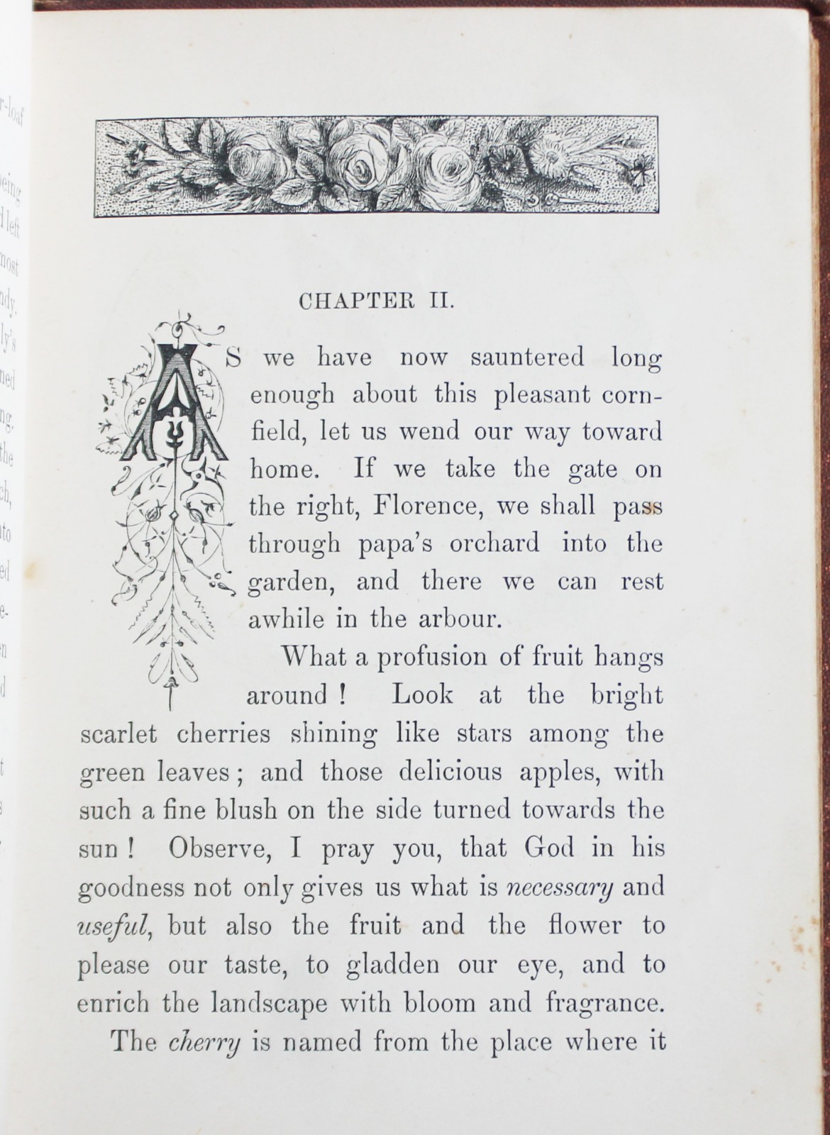 Rare Antique Old Book Useful Plants 1870 Nature Garden Flower Tea Sugar Cacao ?