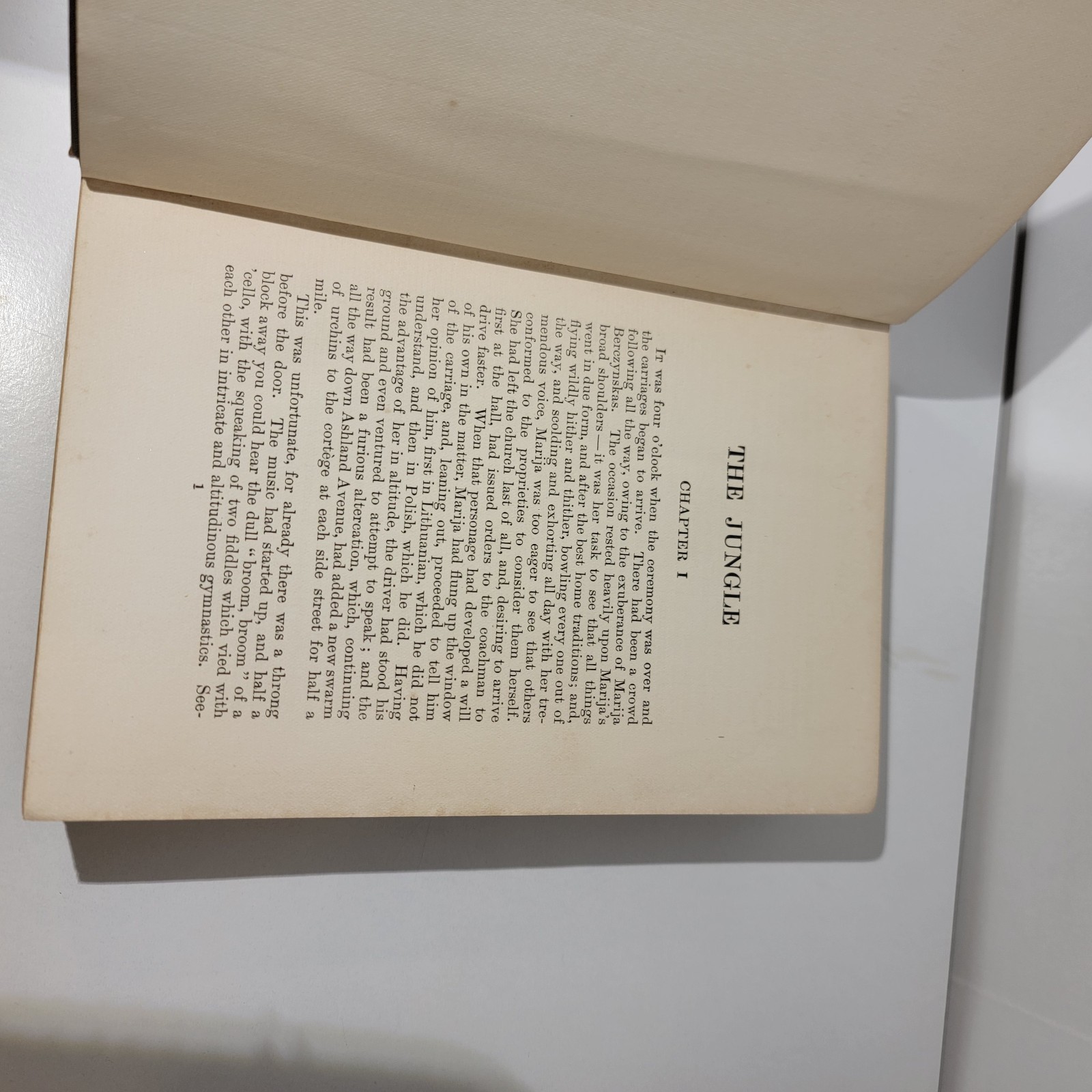 The Jungle by Upton Sinclair First Edition 1906, Doubleday, Page & Company