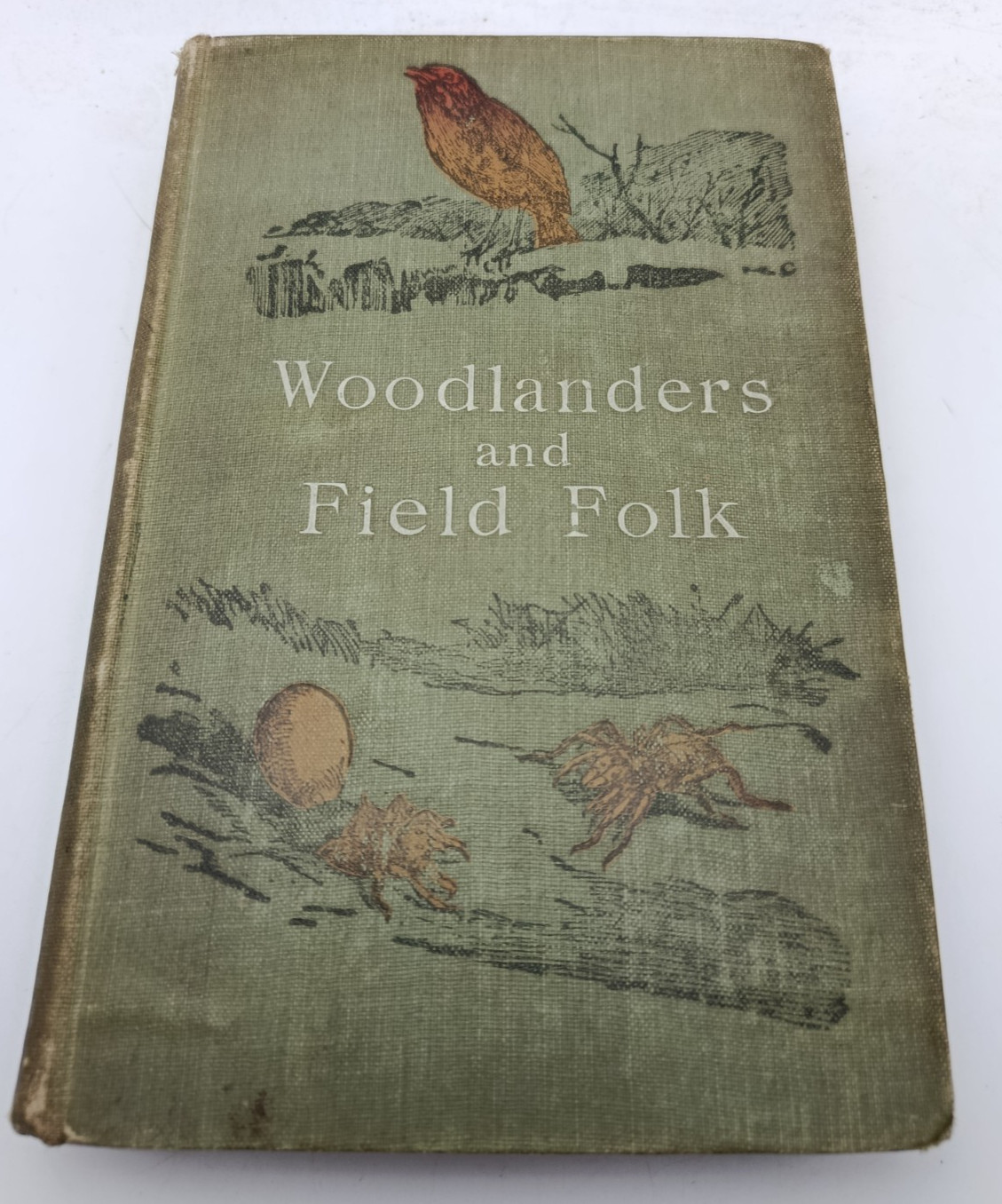 Antiquarian Book Woodlanders and Field Folk Sketches of Life by John Watson