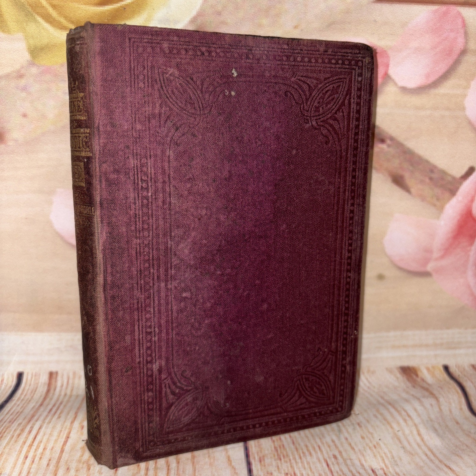 THE SUNSHINE OF DOMESTIC LIFE By: W. H. Davenport Adams 1867 VINTAGE VERY RARE