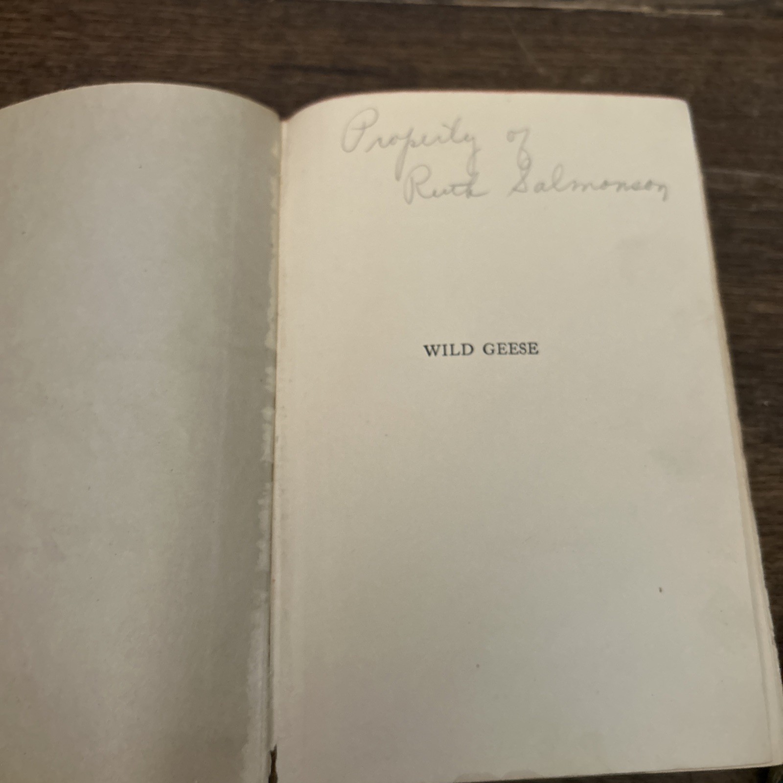 1925 1st edition 2nd printing HC WILD GEESE Martha Ostenso Dodd Mead & Co