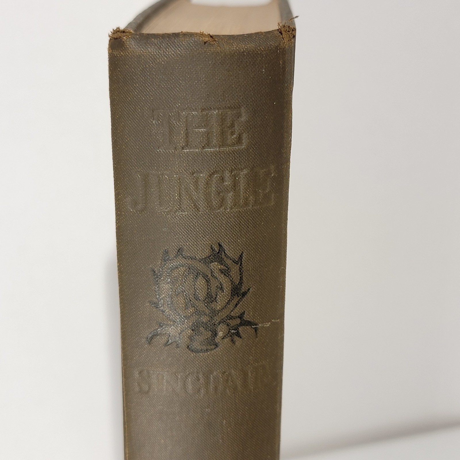 The Jungle by Upton Sinclair First Edition 1906, Doubleday, Page & Company
