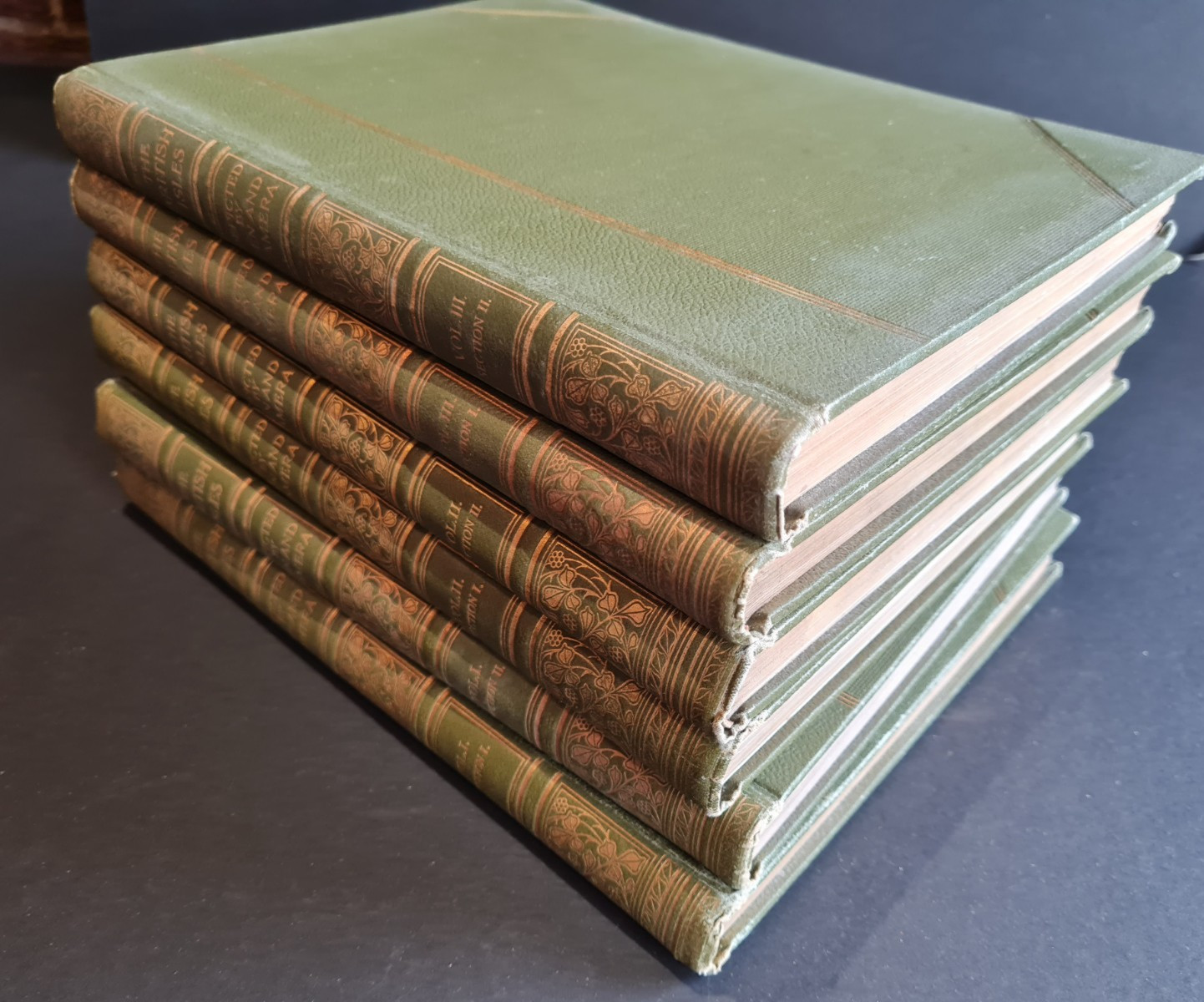 British Isles Depicted by Pen & Camera 6 Vols Special Ed. 39 Plates Cassell 1907