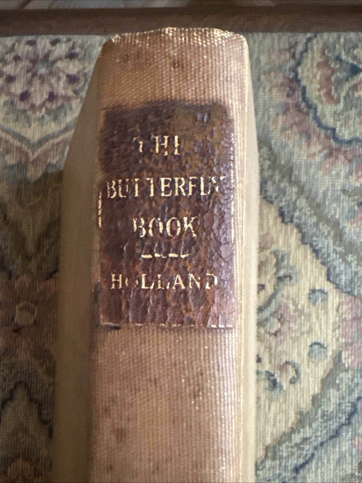 The Butterfly Book. W.J. Holland. EARLY Edition ~ 1903 ~ NUMEROUS Colored Plates