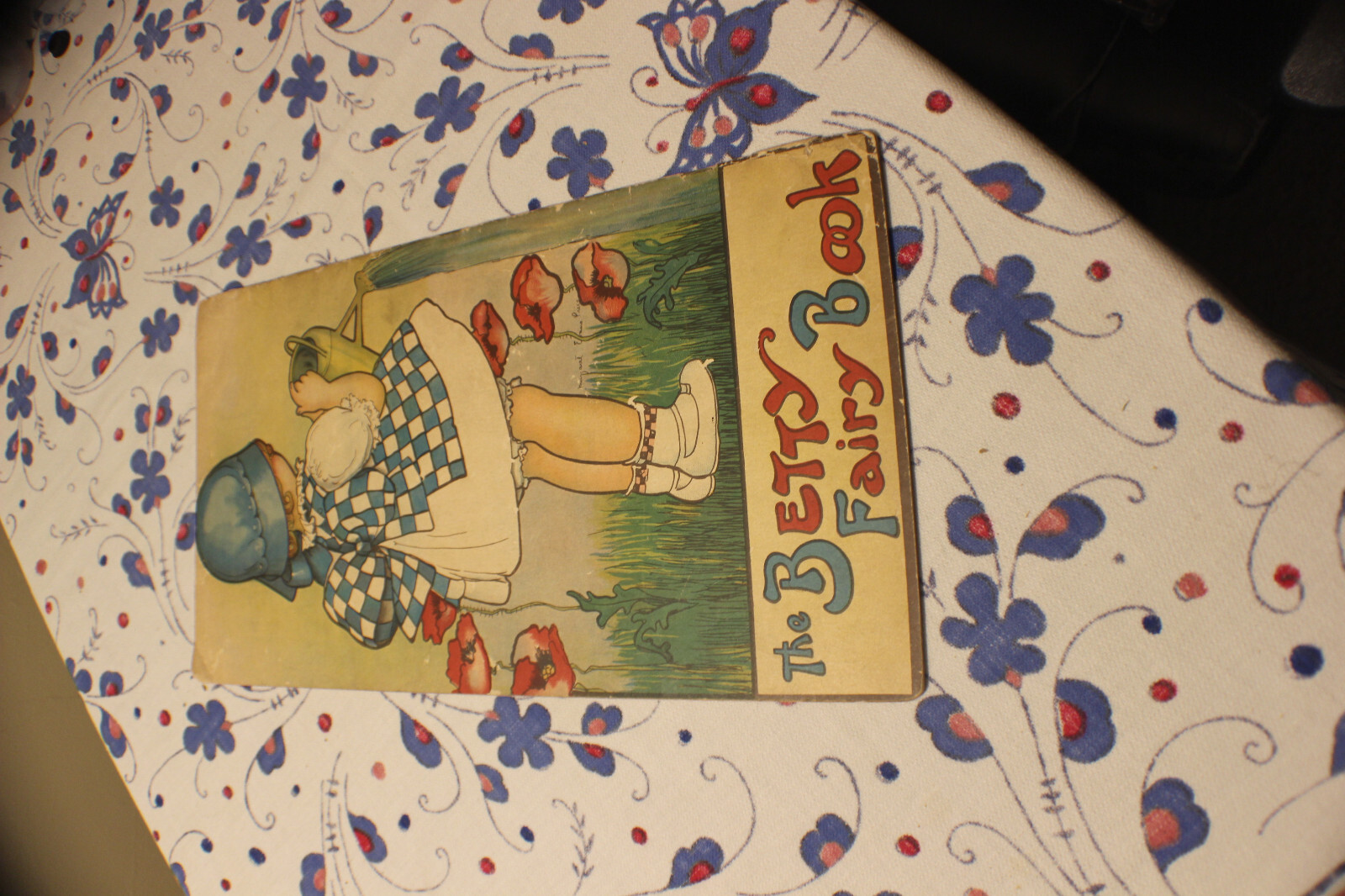 The Betty Fairy Book-1915-#300-Stecher Lith. Co.-Margaret Evans Price