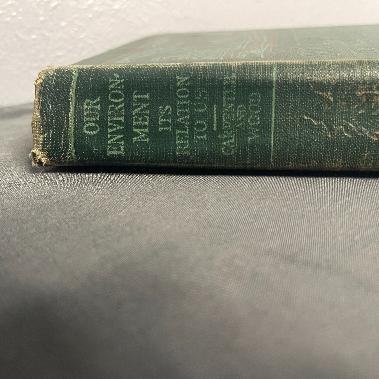 School Science Textbook Our Environment 1933 Vintage Hardcover Carpenter & Wood