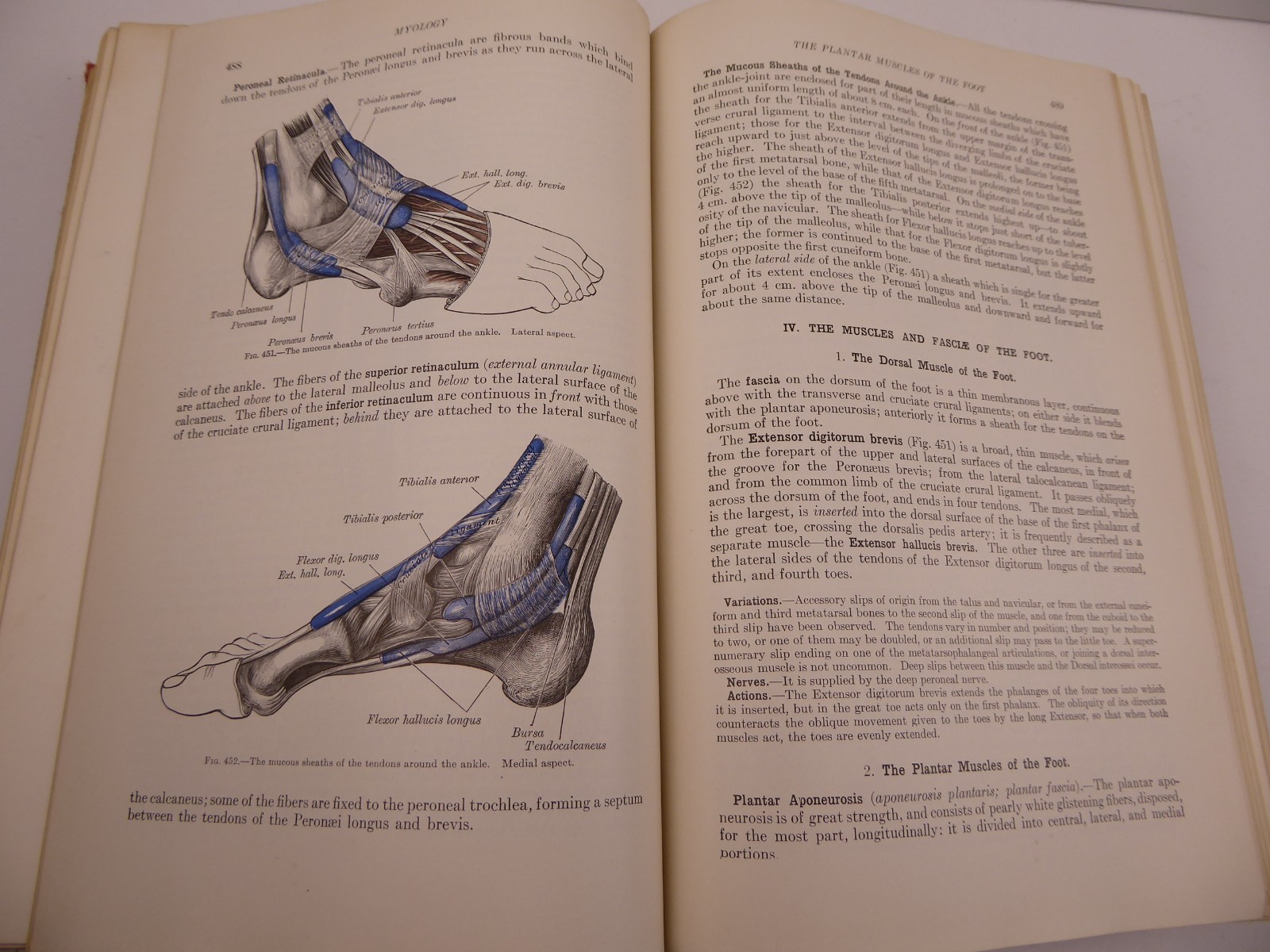 Grays Anatomy 1930 Twenty-Second Edition Henry Gray F.R.S