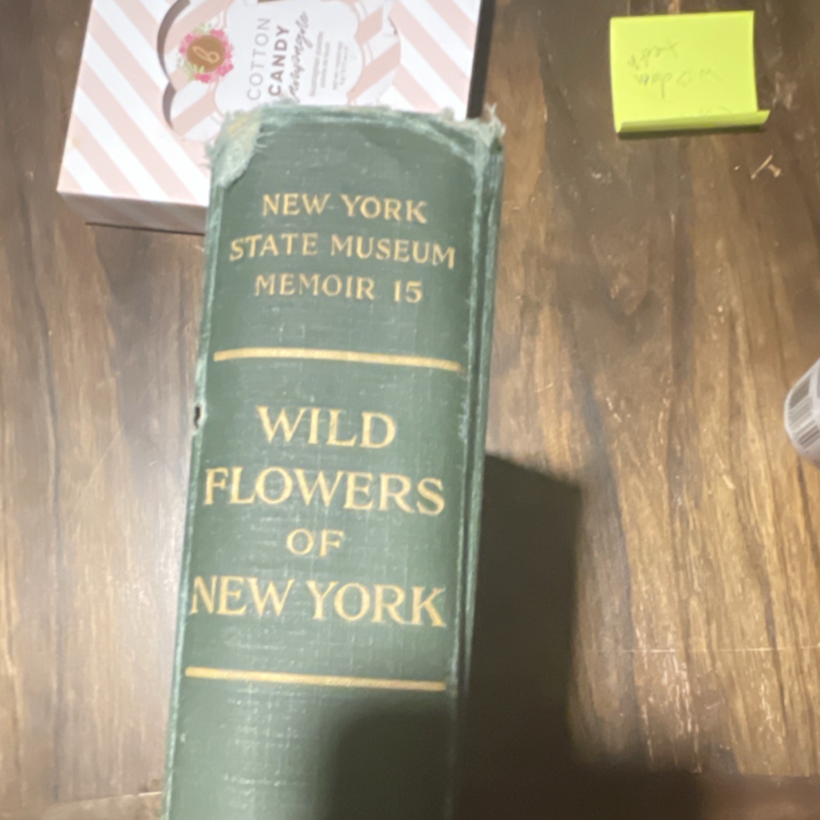 Homer D. House Wild Flowers of New York NY State Museum Memoir 15 HC 1918