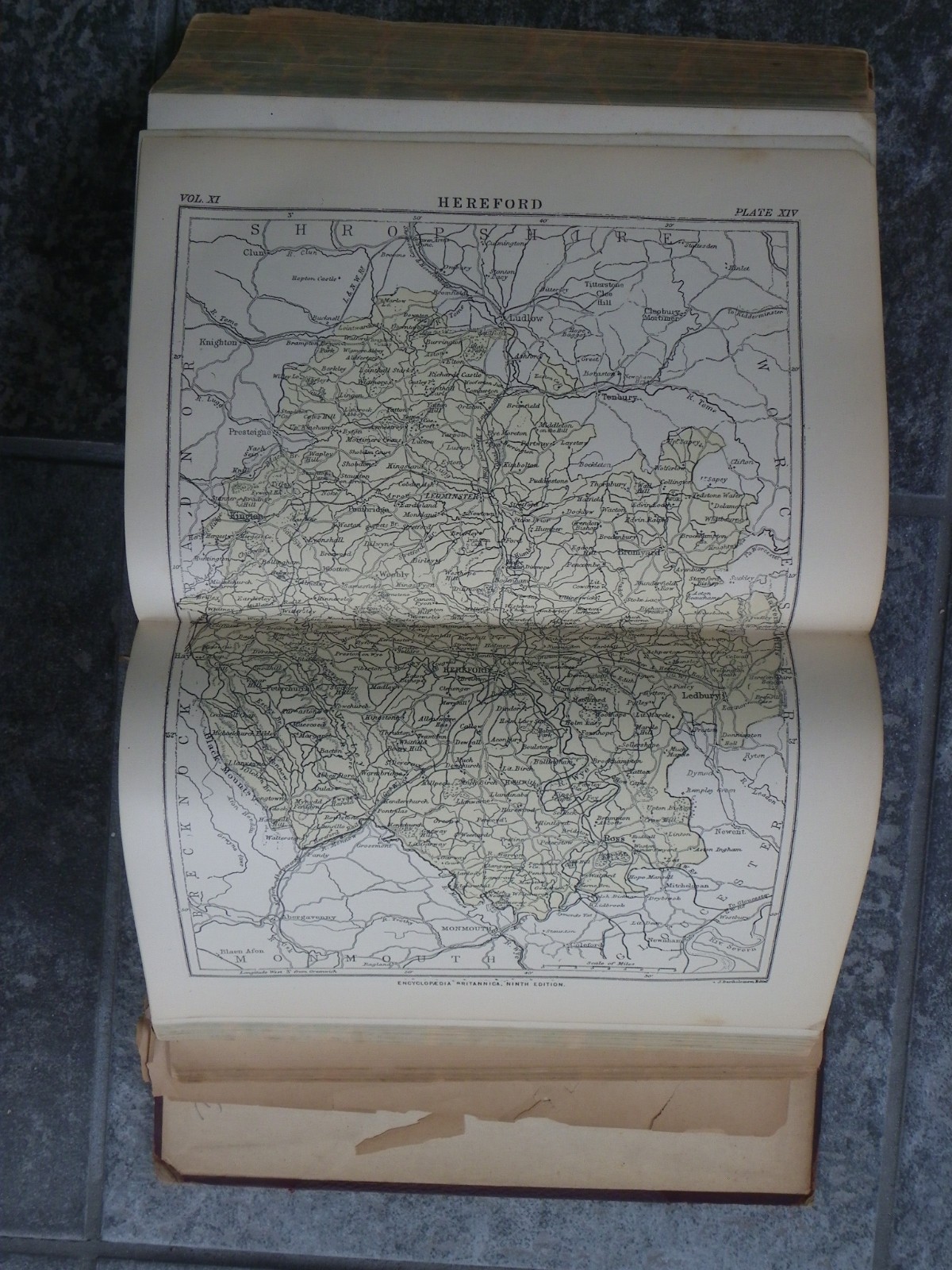 1890 Encyclopedia Britannica Vol XI-9th Edition-Allen Co-Leather-All 16 Plates