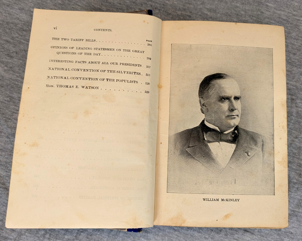 1896 The Great Campaign Political Srtuggles Voter Guide Presidential Election
