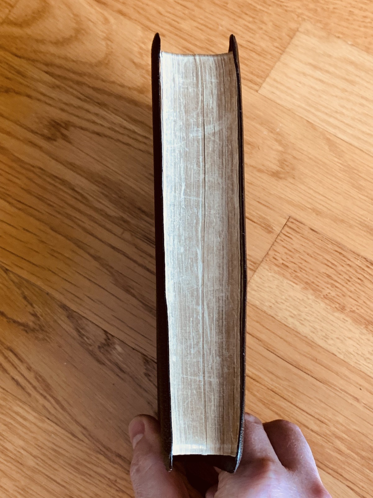 Holy Bible – Concordance – Red Letter Edition – Cambridge Morocco Leather Lined