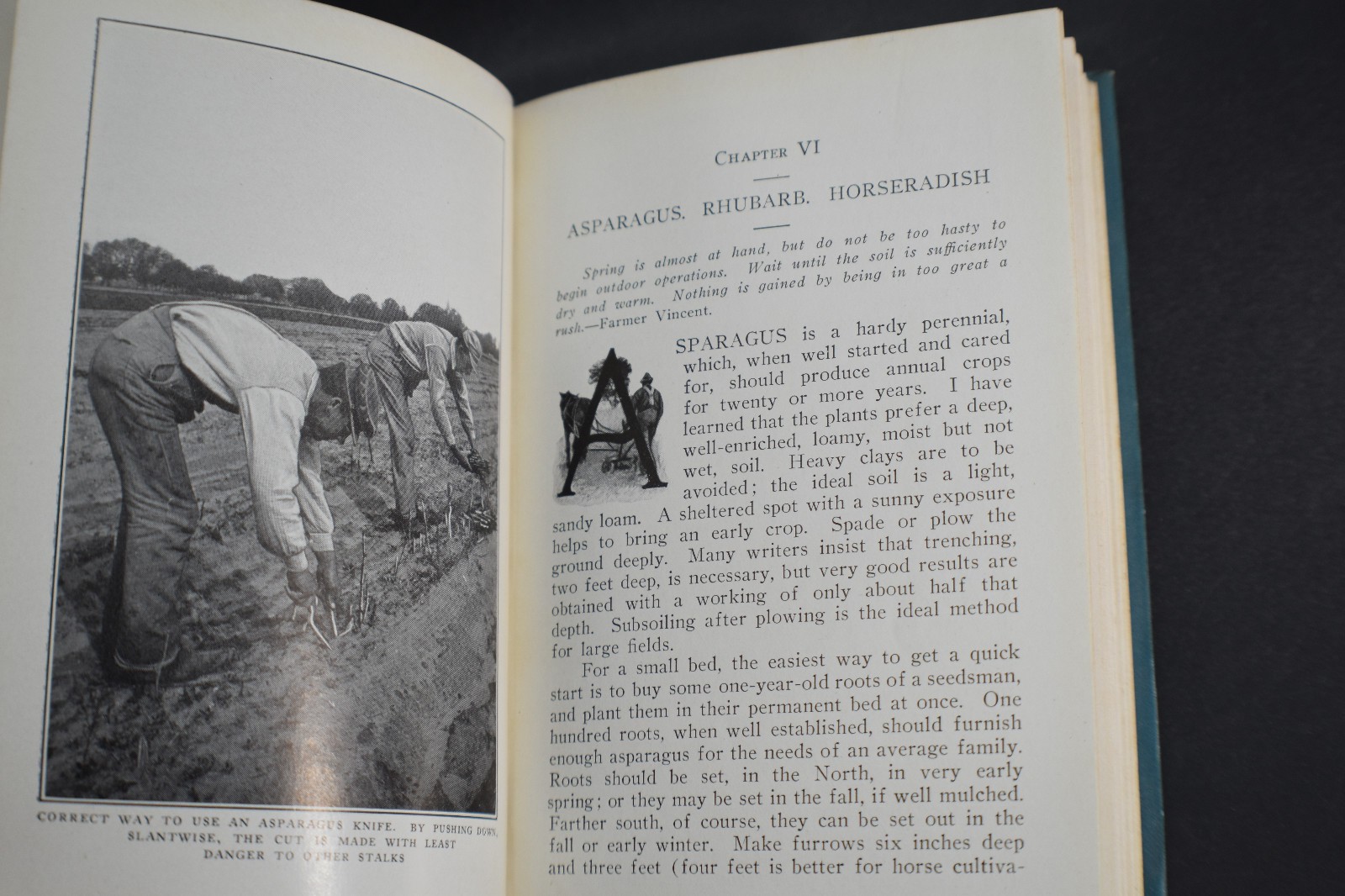 1908 *FIRST* Biggle Garden Book: Vegetables, Small Fruits & Flowers