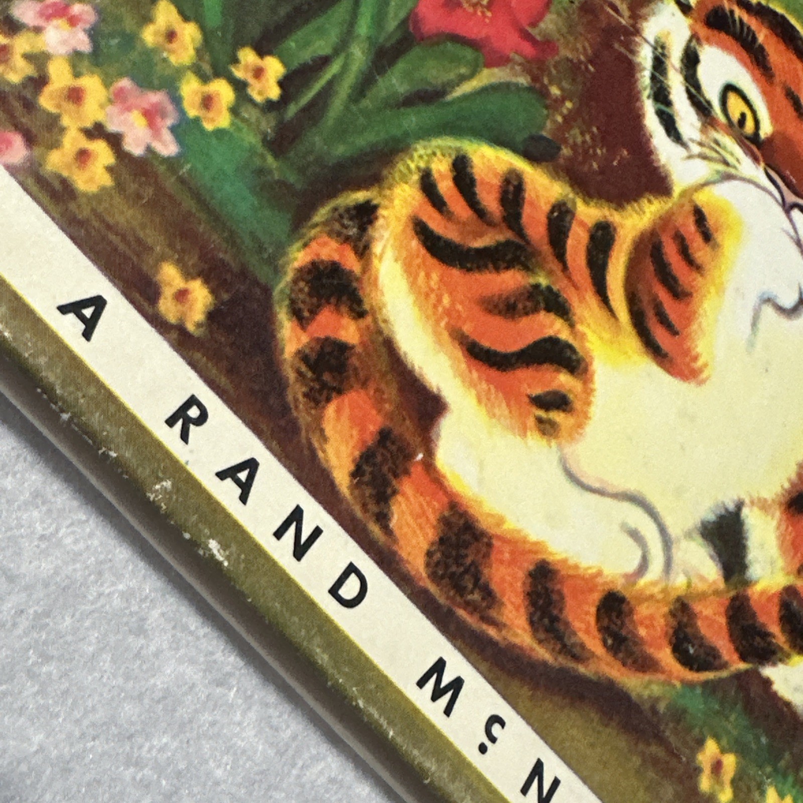 Timothy, Tiger By Marjorie Barrows Vintage Children’s Storybook First Edition