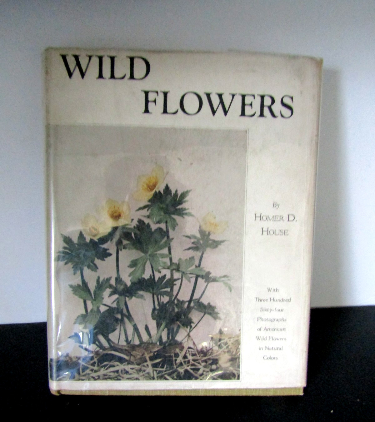 Wild Flowers Homer D. House 1935 Color Illustrations 2nd Printing VERY GOOD