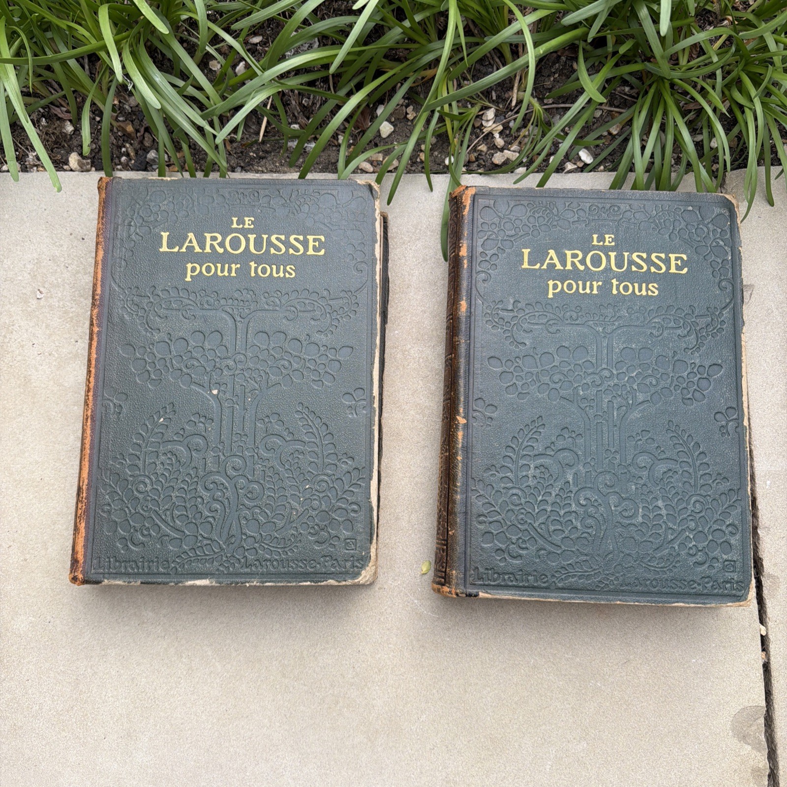 Pair Antique French Books le Larousse Pour Tous librarie Paris 1900s A-K & L-Z