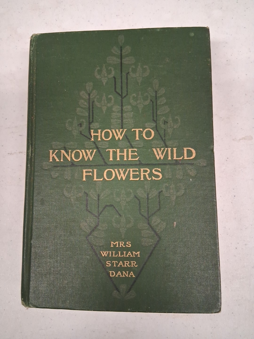 How to Know the Wild Flowers Guide by Mrs. William Starr Dana Scribner’s 1915