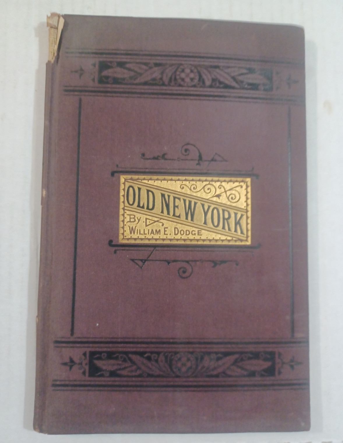 1880 Old New York, A Lecture By William E. Dodge, NYC History, New York City