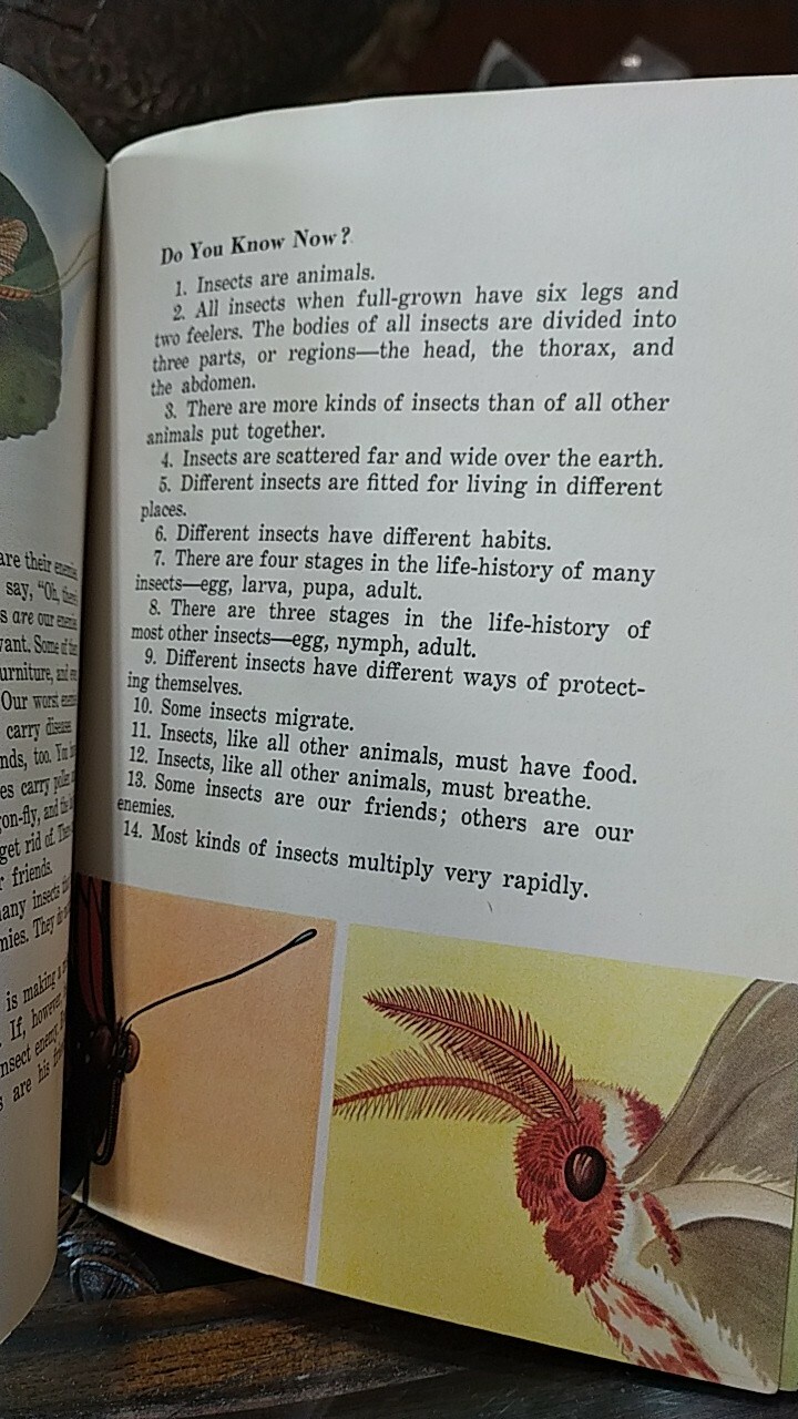 „INSECTS AND THEIR WAYS“. 1940s Basic Science Education Series children’s book.