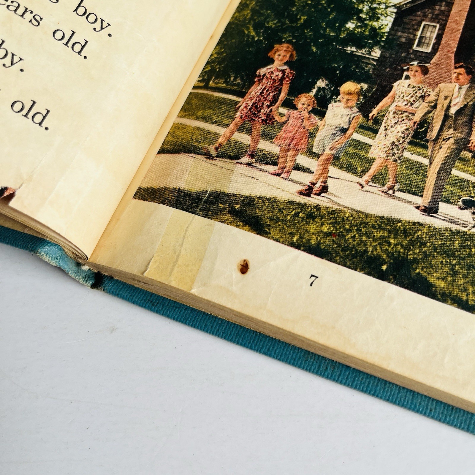 Vintage Home Is Fun by Miriam E. Mason Primary Social Studies School Reader 1939