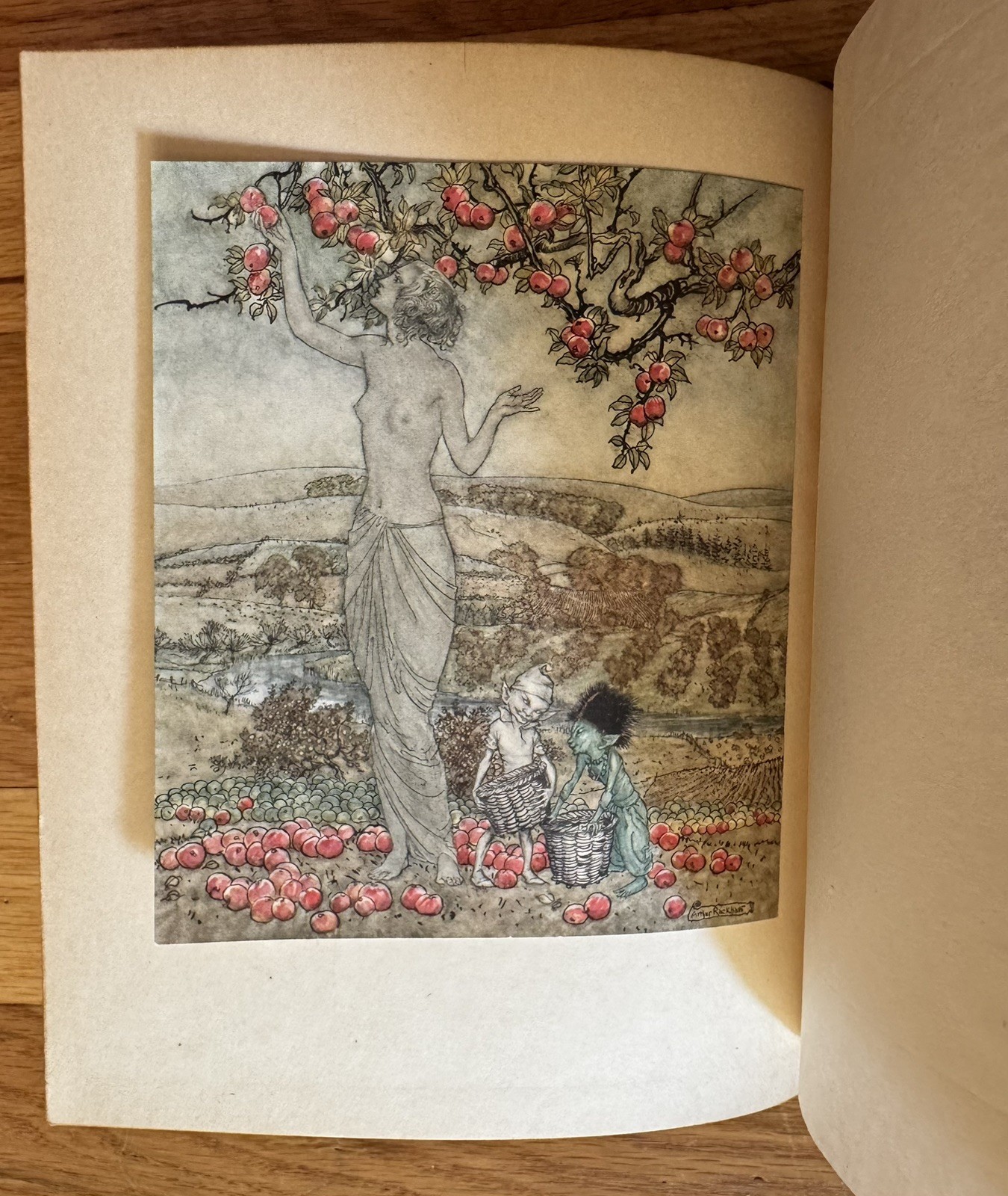Fine Leather Binding Arthur Rackham A Dish of Apples Color Plates 1921 Book