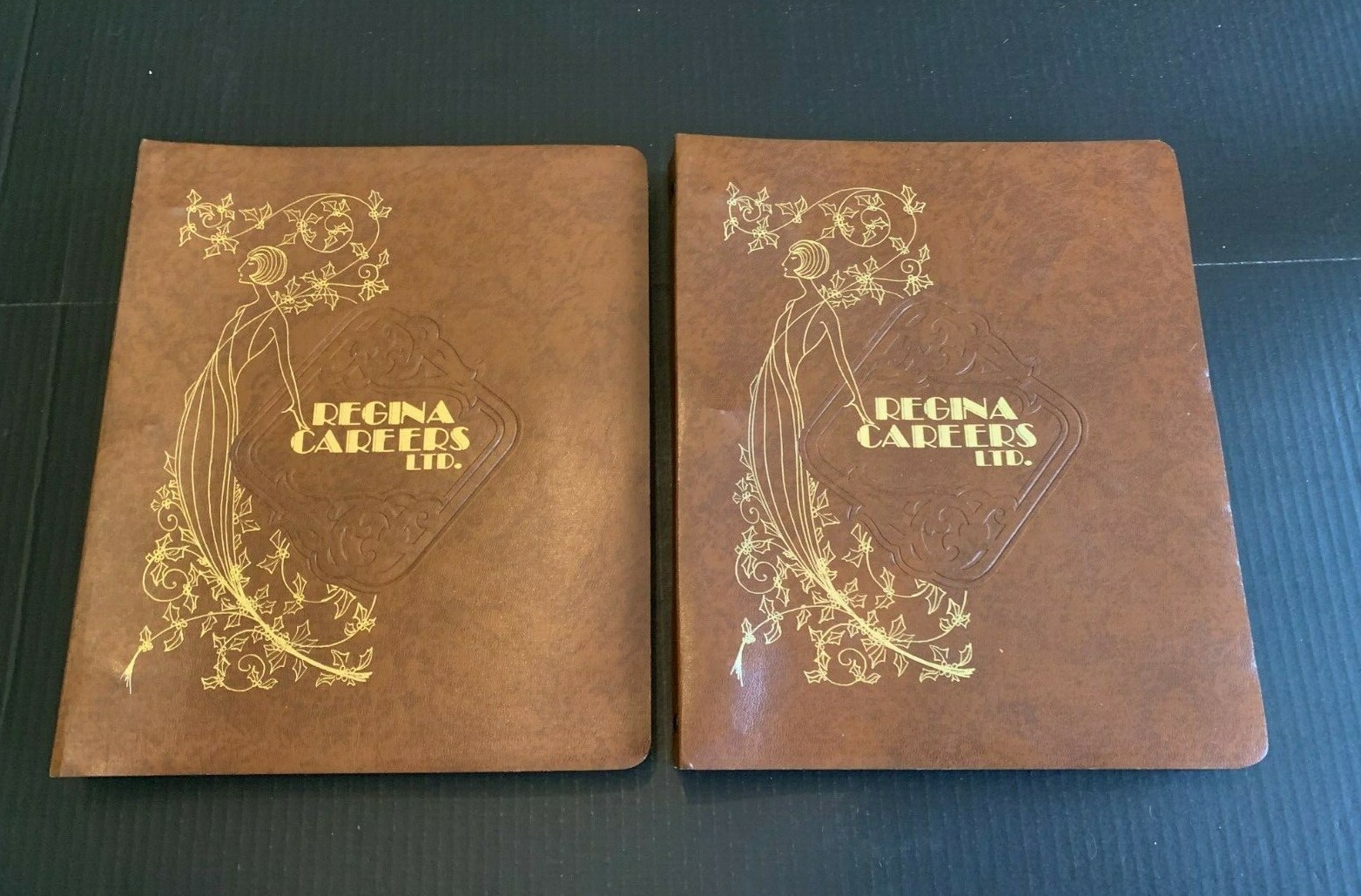 1977 Regina Careers Display Course Volume 1 and 2