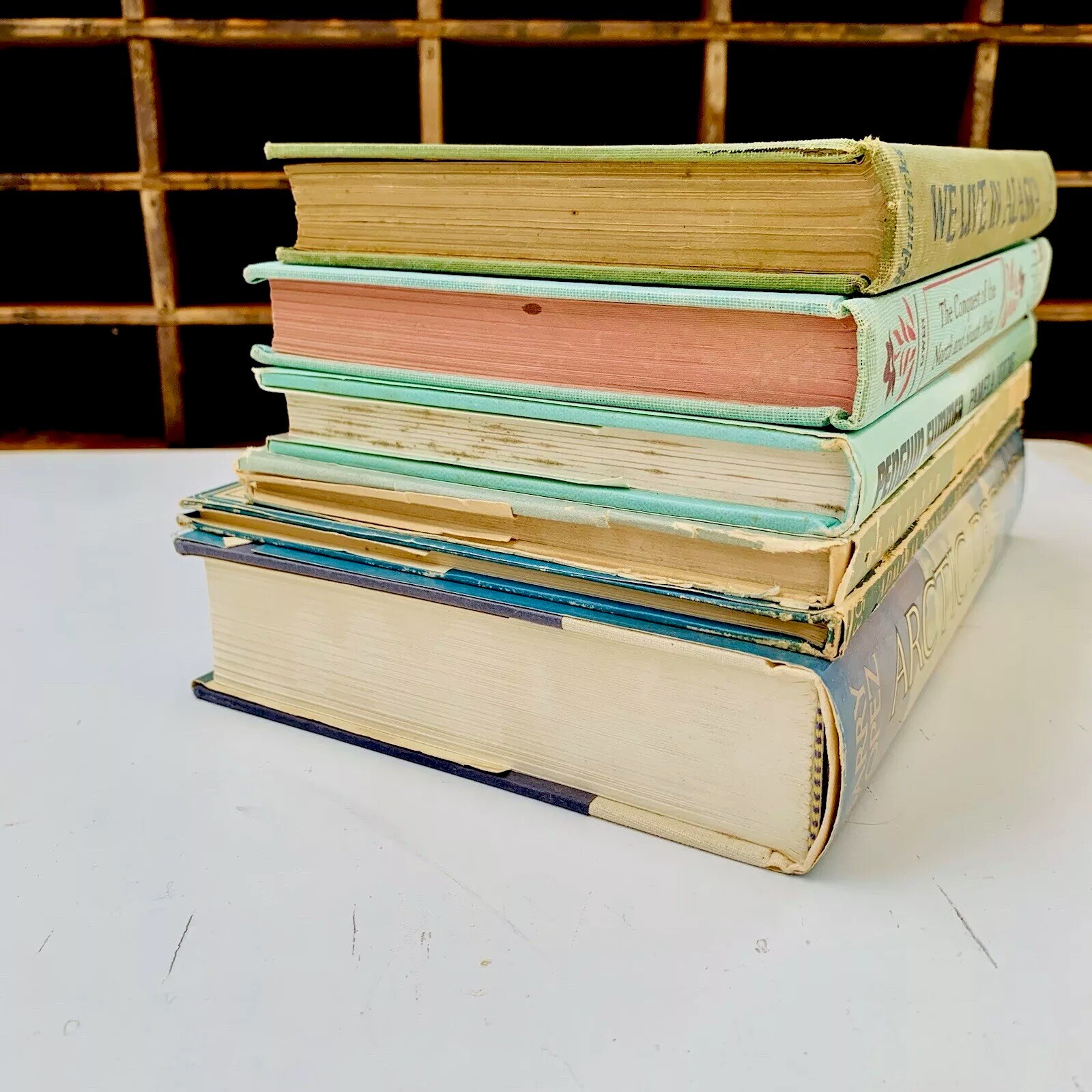 Vintage ARCTIC Books Stack Lot of 6 Alaska Greenland Polar Explorers North Pole