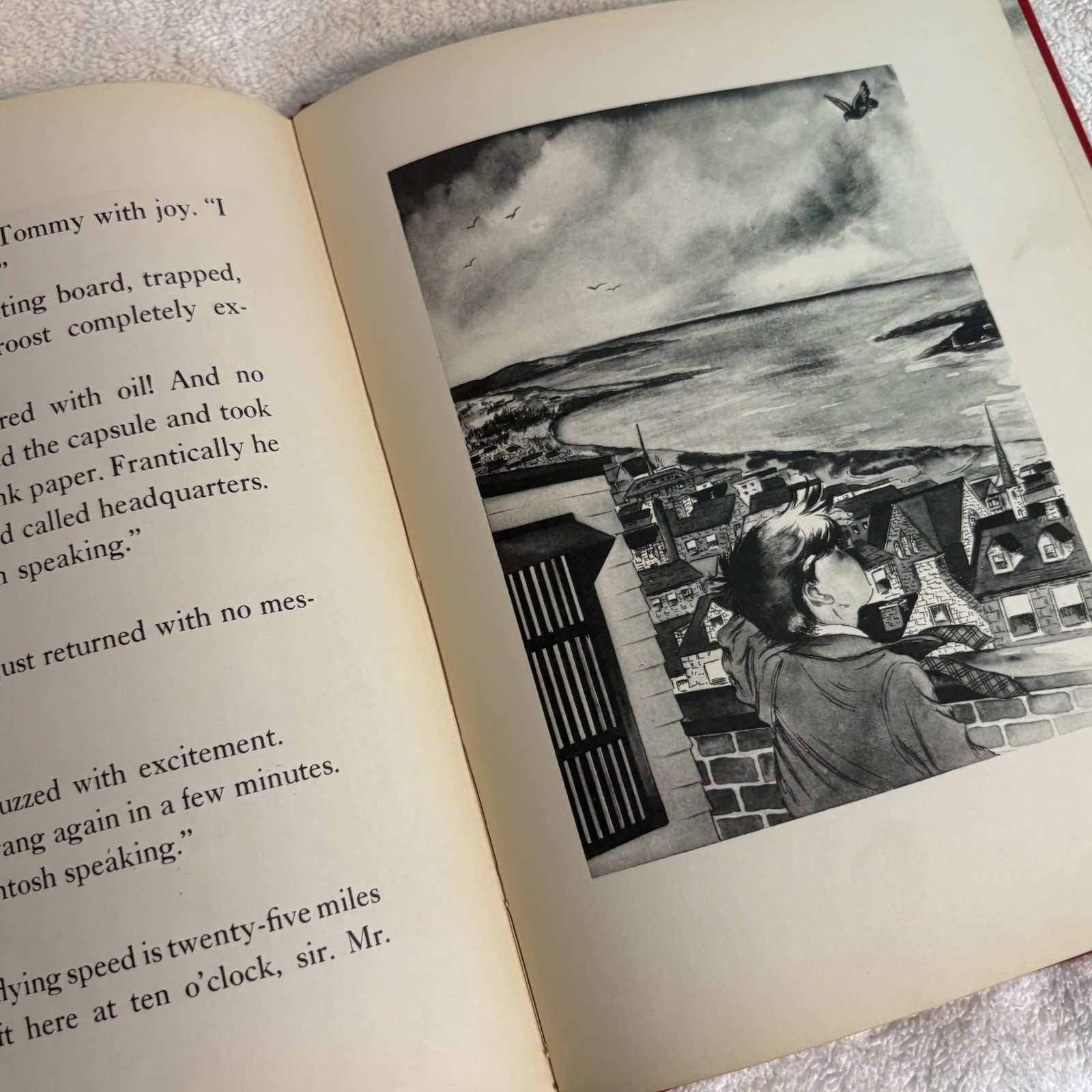 Vintage Watching For Winkie Book 1942 by Theresa Kalab Longmans, Green & Co. 1st