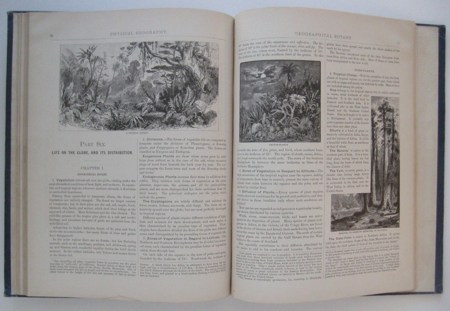 1887 BUTLER’S PHYSICAL GEOGRAPHY Jacques Redway Color Maps Engravings Diagrams