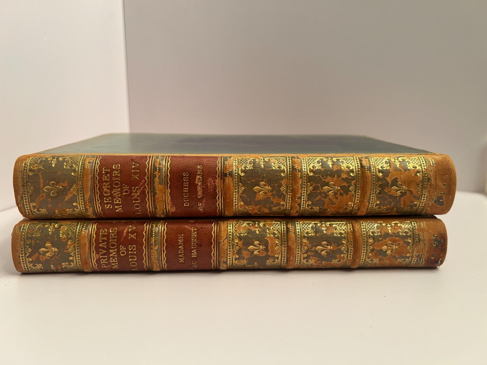 Antique 1895 Secret & Private Memoirs of Louis XIV & XV 2 Volume Set Sangorski