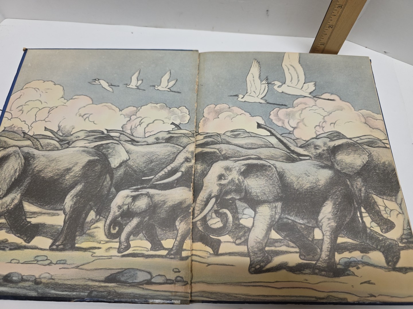 1941 Pantaloons Adventures of a BABY Elephant by Osa Johnson 1st Edition RARE!
