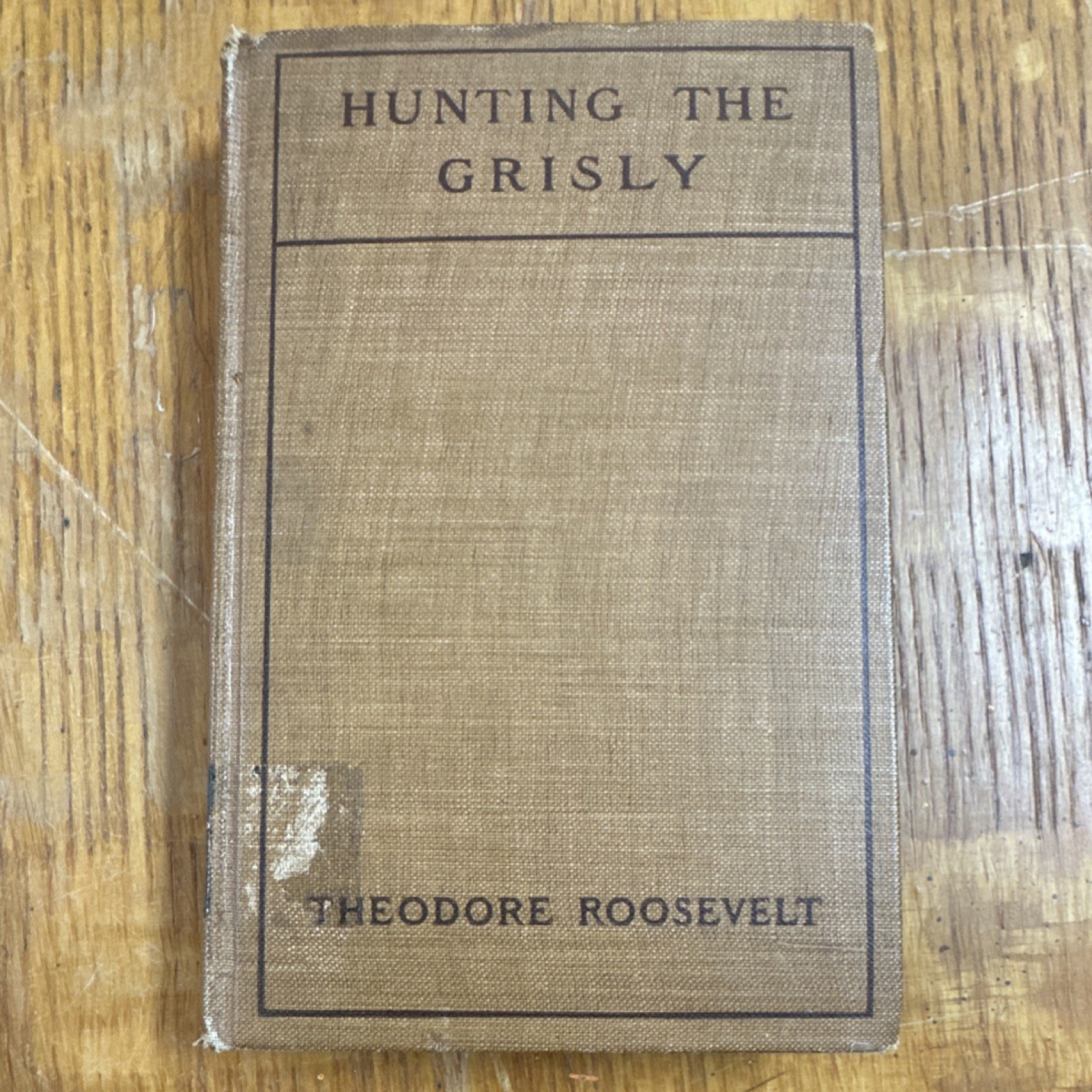 Theodore Roosevelt Hunting the Grisly 1910 Putnam Cloth Illustrated Ex-Library