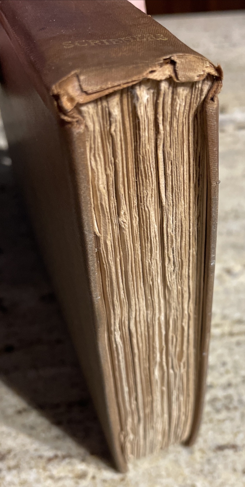 The Sacred Fount By Henry James 1st Edition 1901 (Charles Scribner’s Son’s) HC